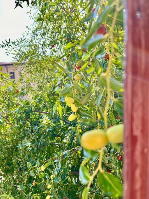 Appartamento Da Antonella Bergamo Esterno foto
